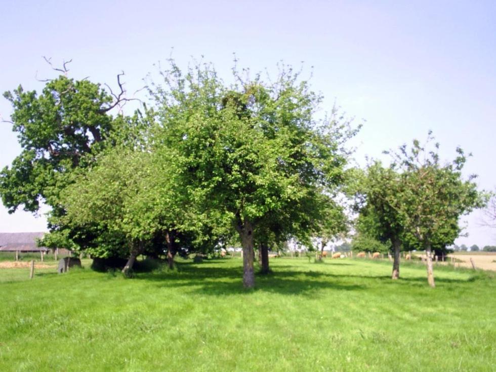 Vessey Chambres D'Hote Honey Orchard Farm מראה חיצוני תמונה