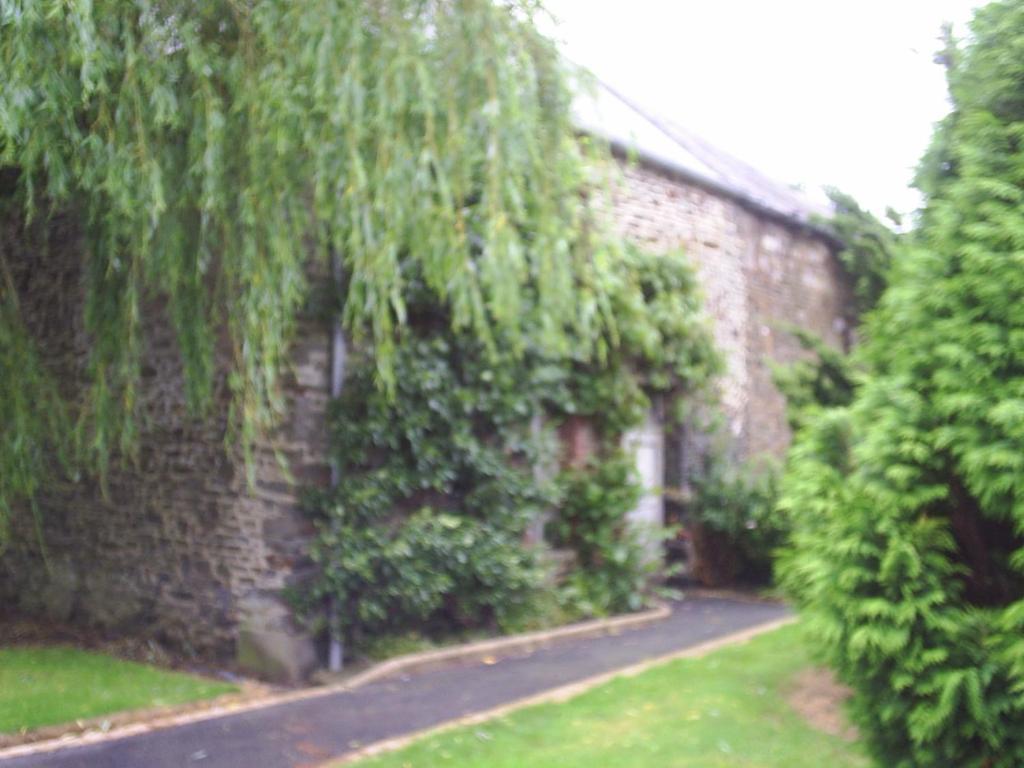 Vessey Chambres D'Hote Honey Orchard Farm מראה חיצוני תמונה