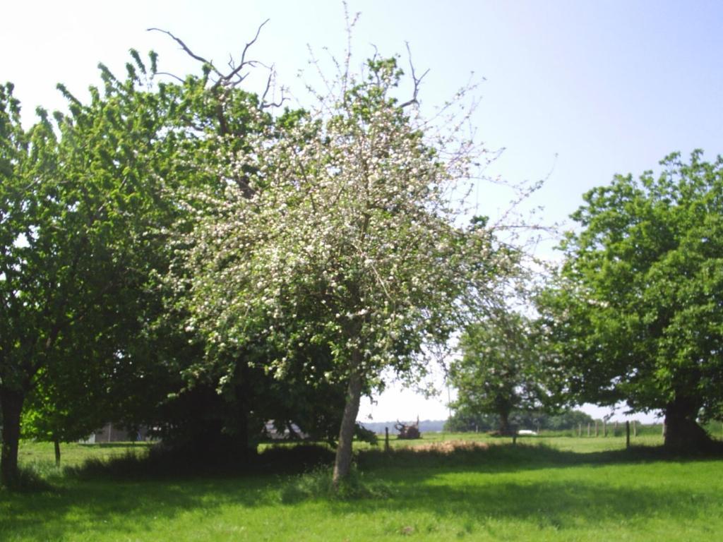 Vessey Chambres D'Hote Honey Orchard Farm מראה חיצוני תמונה