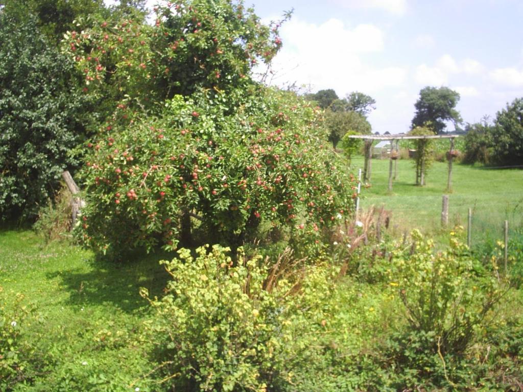 Vessey Chambres D'Hote Honey Orchard Farm מראה חיצוני תמונה