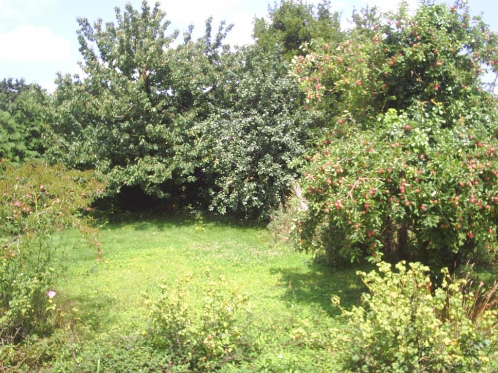 Vessey Chambres D'Hote Honey Orchard Farm מראה חיצוני תמונה